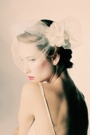 What kind of veil with this dress? PICS :  wedding dress veil birdcage Wendy Tall Thumb
