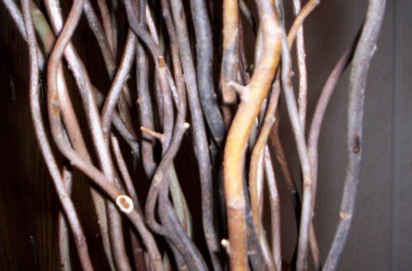 I have 100 curly willow branches Some are natural color and some are a