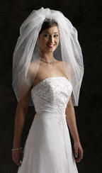 What veil do you think I should wear with my dress? (PICS) :  wedding Bubble Veil