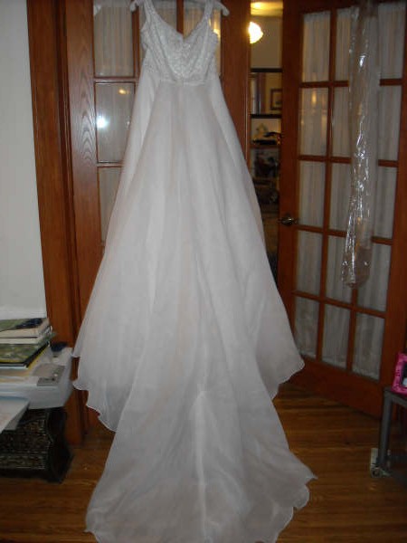 In Search of Wedding Gown in Size 14/16 :  wedding dress wedding searching buying engagement Back Of Wedding Dress With Train