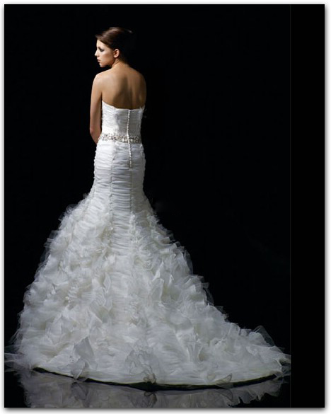 Need HELP deciding on a dress.... :  wedding dress help choosing wedding dress wedding gown choose pick vote 2 Model Back