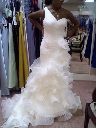 Need HELP deciding on a dress.... :  wedding dress help choosing wedding dress wedding gown choose pick vote Dress 3