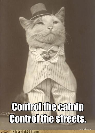 Important PSA... :  wedding Catnipb