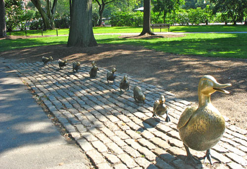 Spinoff: What was your favorite childhood book? :  wedding books childhood childhood book Make Way For Ducklings 2