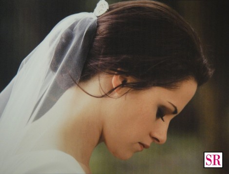 so I am defintly not a twihard but I am in love with bella's braided hair