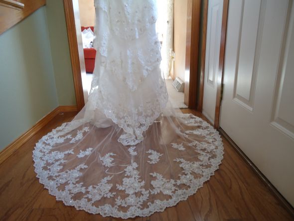 Show Me Your SPARKLY Beaded Dresses! :  wedding sparkly sparkle bead beaded show me dress Mymaggie5