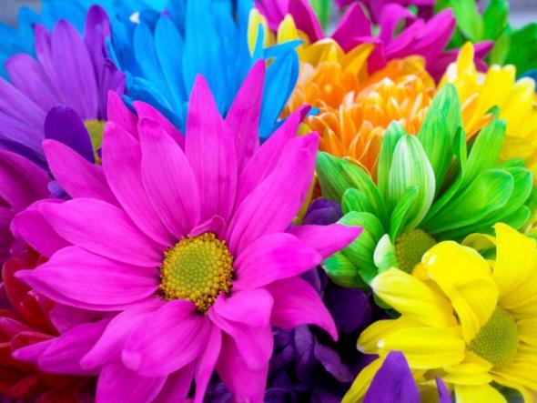 But with the multicolored flowers like these Centerpiece ideas wedding 