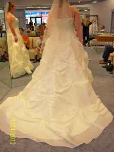 Wedding Wedding Dress Photos