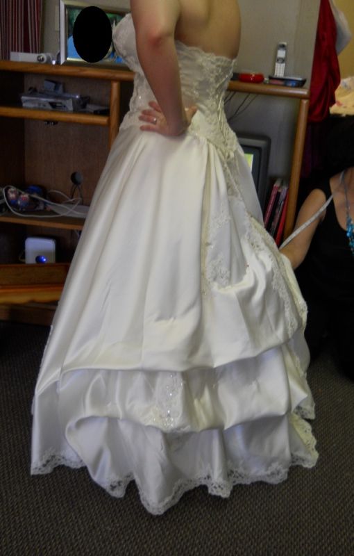 It is weird? Prefer my dress bustled :  wedding DSCN0144B