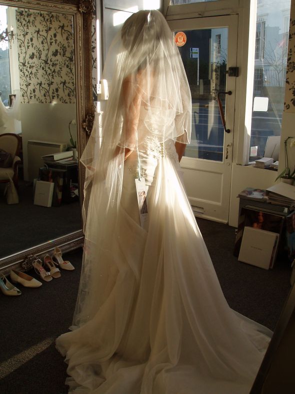 Enzoani or Blue by Enzoani Brides :  wedding enzoani etawah blue mermaid P1010016