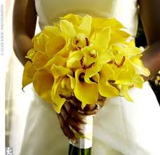 PLEASE give me your color opinion!!! :) :  wedding ImagesCAKRQFG8