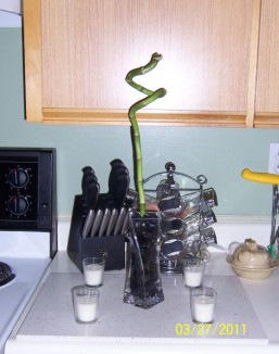 Centerpiece Pics! :  wedding Centerpiece