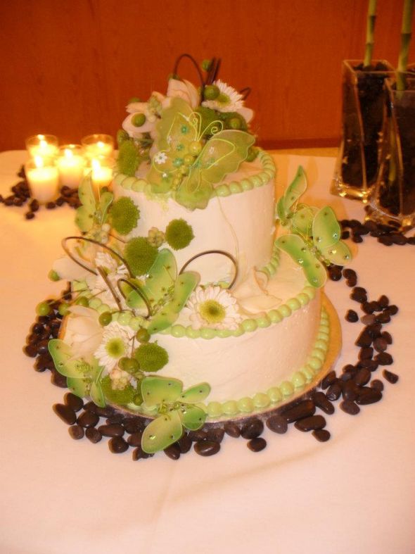 Post your guest photos, I'll start! :  wedding SCake