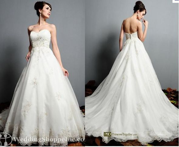 Veil!? :  wedding veil Dress