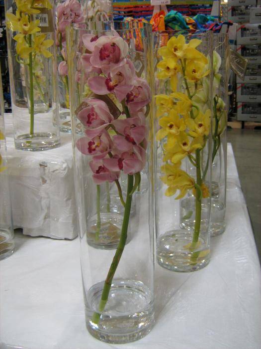 Need Help! :  wedding centerpieces 14398