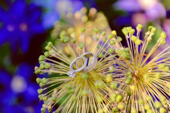 Have you got an HEIRLOOM engagement ring (or stone)? STORY! :  wedding ring engagement vintage heirloom diamond setting 322736 585459672060 9900078 32654525 4435799 O