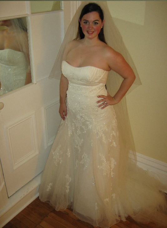 Finally Good Pictures Of My Dress! (Warning - Pic Heavy!) : wedding demetrios pictures dress two dress Fd