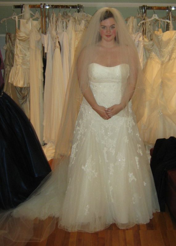 Finally Good Pictures Of My Dress! (Warning - Pic Heavy!) : wedding demetrios pictures dress two dress Veil