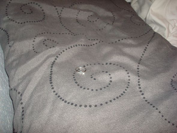 Fun!! Ring scavenger hunt! (pic heavy) Join in! :  wedding fun rings scavenger hunt photography DSC05641