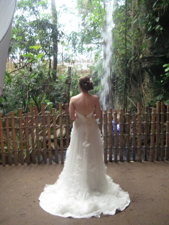 Pre-Professional Dress Photos : wedding wedding gown dress casablanca flowers net netting tulle petals aquarium hair orchid 270168 10150306817535229 665725228 9245772 1534331 N