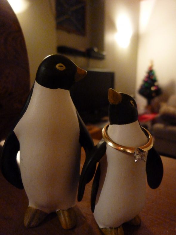 Recent photos of your ring: SHARE! :  wedding engagement ring Penguins