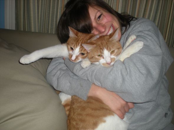 Cute pics of my kitties guaranteed to make you smile :). Post your pics too! :  wedding kitten cute Cats2
