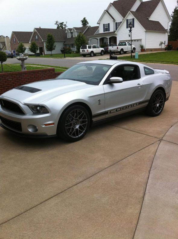 ---Your Vehicle--- :  wedding cars Shelby20031