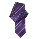 Groomsman attire? :  wedding groomsmen dresses colors advice tux Navy Purple Club Stripe Pure Silk Tie 2674640