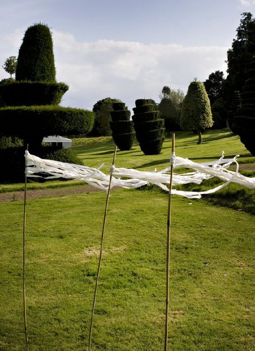 Engagement Party Ideas :  wedding engagement party lawn outdoors games Tumblr L05siyb4th1qbxxruo1 500
