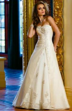 dress and veil :  wedding birdcage dress help think 2009cwd1816a