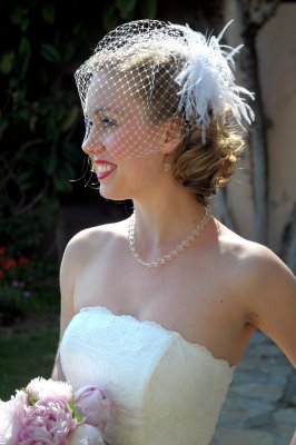 dress and veil :  wedding birdcage dress help think DSC 6353