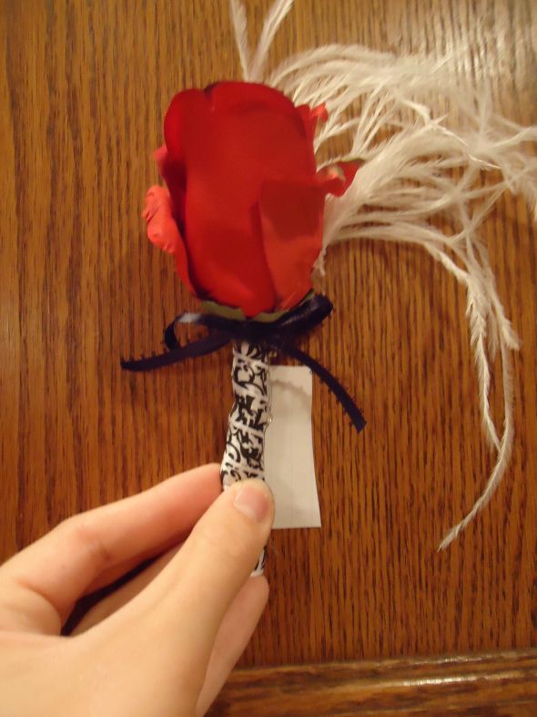My diy glam Damask red rose, feather