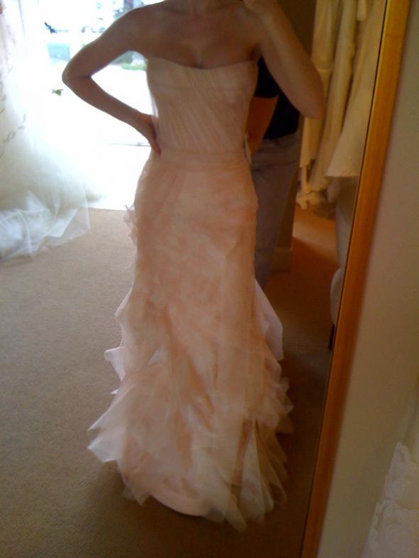 me in blush colored gowns (tried on just for the color) :  wedding blush Photo1