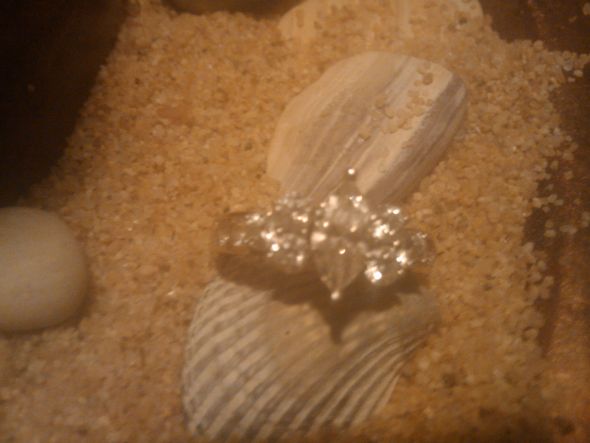 Let's See Your Ring Photo Shoot! :  wedding Ring In The Sand