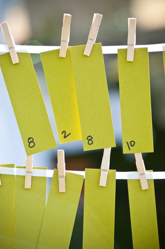 Escort Cards on ribbon, rows strung between two bamboo poles outdoors :  wedding escort cards name cards tables green white inspiration diy reception Escort Cards 2