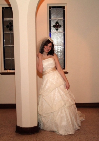 All Lace & Rhinestone Dress :  wedding lace seaquin ivory champagne ball gown dress Davids Bridal E9210 Wedding Dresses 2510 View2 340x600