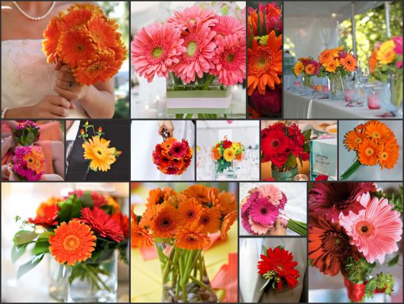 DIY Gerbera Daisies wedding gerbera daisy flower inspiration diy flowers 