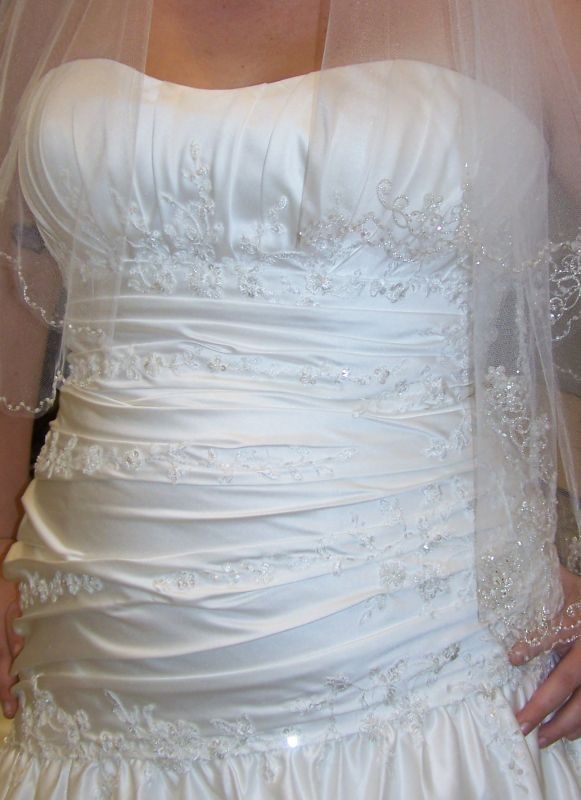 No one has my dress? How bout you? :  wedding Wedding Dress   Dress Detail
