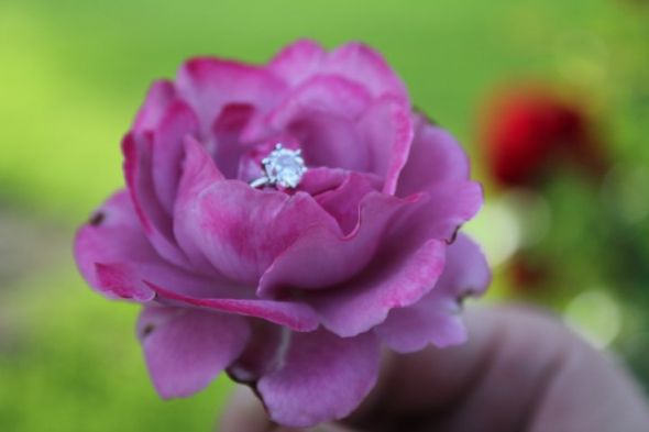show me your rings :) :  wedding ring 264579 10150703697310257 656215256 19123821 4720558 N