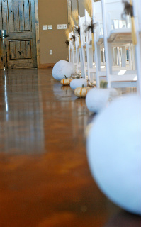 Our $3000 rustic wedding, very pic heavy. Pro recap :  wedding rustic recap budget diy Knetig005