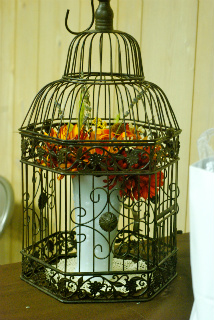 Our $3000 rustic wedding, very pic heavy. Pro recap :  wedding rustic recap budget diy Knetig176