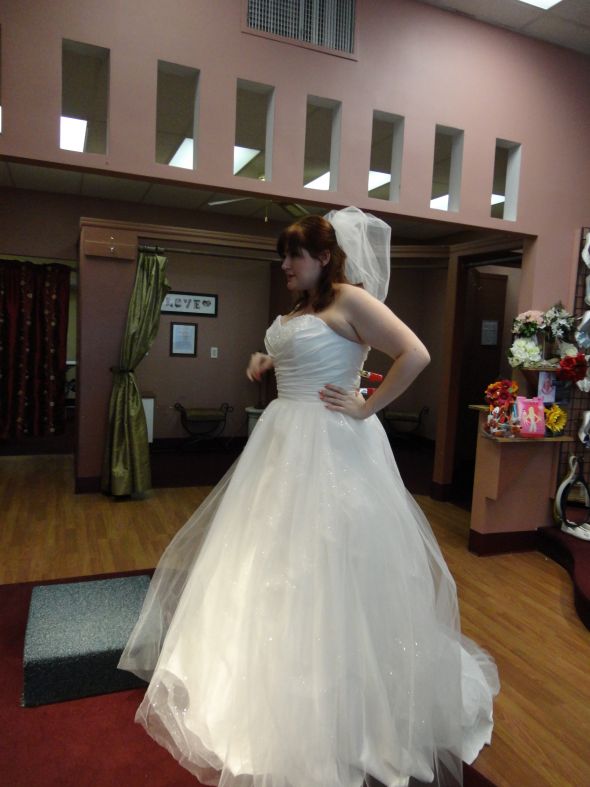 Should I alter my dress to tea length? Please help! :  wedding dress alterations tea length tulle bustle DSC00167
