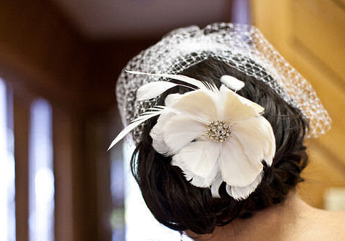 Wedding Veils Photos