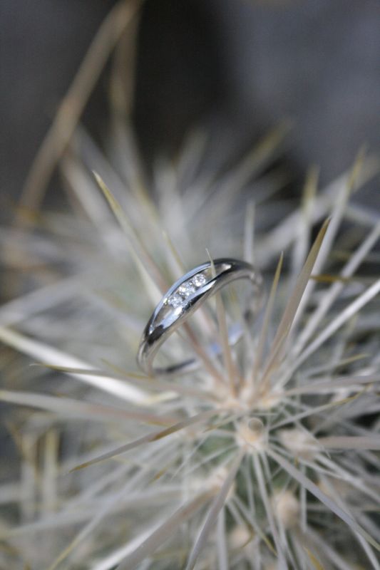 October 2012- Show me your ring :  wedding october 2012 ring roll call  MG 8571