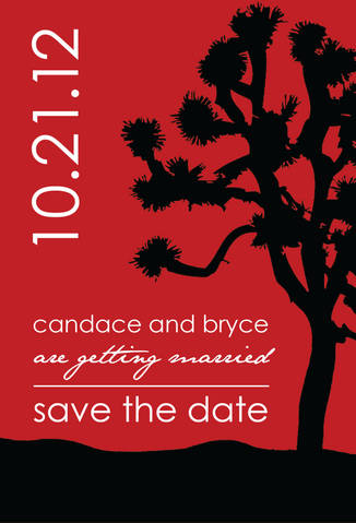 What do you think of our STD magnets? :  wedding Std