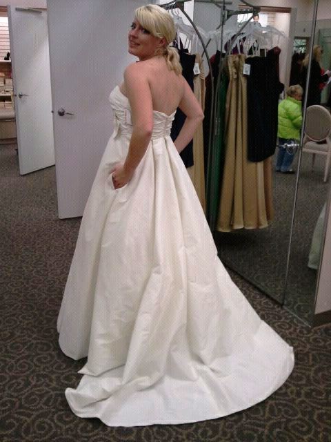Should I say YES to the Dress? :  wedding t3039 My Dress Davids