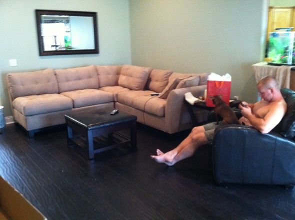 Our new living room! Just got a new area rug and NEED ADVICE!! :  wedding Living Room