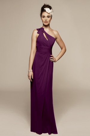 My bridesmaids' dress