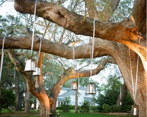 Decorations for outdoor trees wedding trees outdoors crystals lanterns 