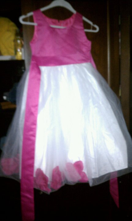 I have 58 pink sashes for 40 shipping a size 4t tux vest and size large 